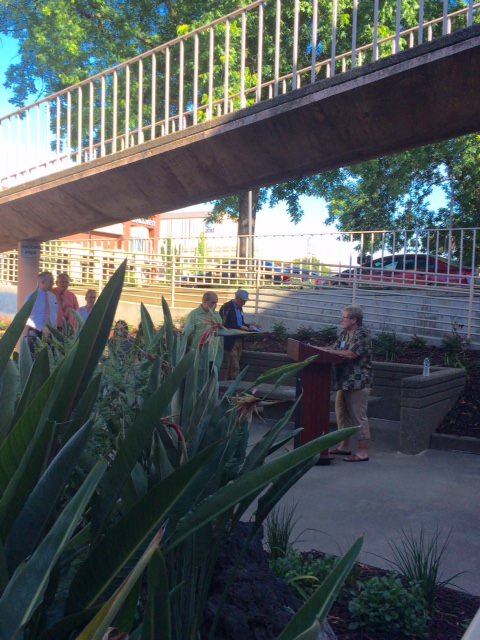 Stockton's Cesar Chavez Library Landscape 