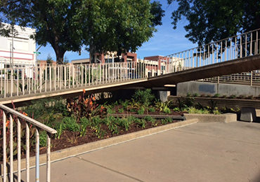 Stockton's Cesar Chavez Library Landscape Beautification Complete