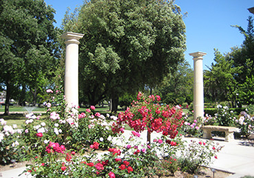 Rose Garden at Victory Park