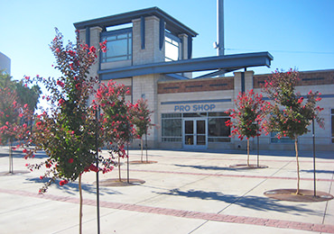 Stockton Ports Banner Island Ballpark Tree Replacement