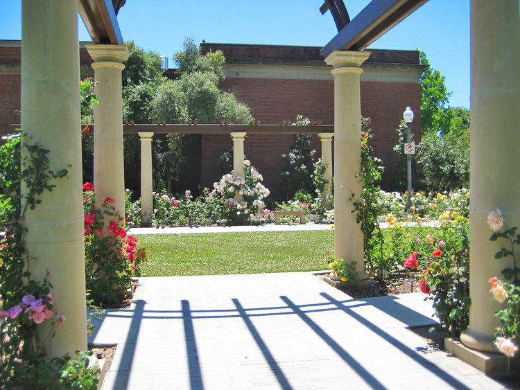 Rose Garden at Victory Park