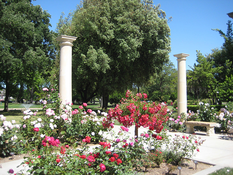 Rose Garden at Victory Park