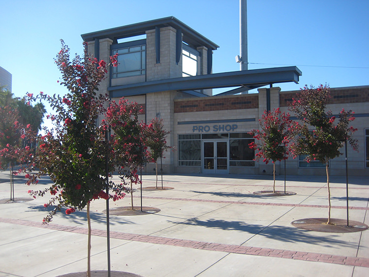 Stockton Ports Banner Island Ballpark Tree Replacement